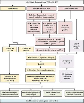 Identification of the Prognostic Significance of Somatic Mutation-Derived LncRNA Signatures of Genomic Instability in Lung Adenocarcinoma